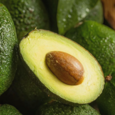 [일일한정특가] 신선애 프리미엄 생 아보카도, 10개, 220g 내외(대과)