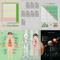 자음모음 별똥별 우리몸 뼈의구조 구구단 구구단표 디자인완두