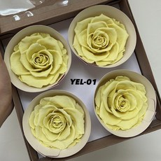 花藝夢 Rose Amor 厄瓜多永生玫瑰花 單朵販售 8-8.5公分 永生玫瑰, 淺黃 YEL-01