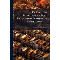 (영문도서)De Effectu Hypothecae Post Resolutum Dominium Constituentis Paperback, Hutson Street Press, English, 9781024768466
