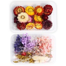 화연양화 프리저브드플라워 꽃조합 헬리크리섬 2세트 DIY재료