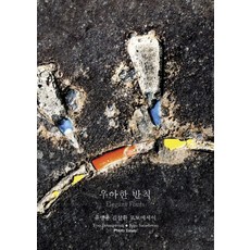 優雅的犯規：柳炳龍 金三煥 攝影散文, 柳炳龍, 白樹