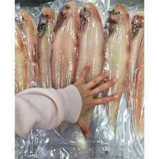 [품질보장] 군산 박대 황금박대 구이 찜 대 29~32cm, 2개, 600g