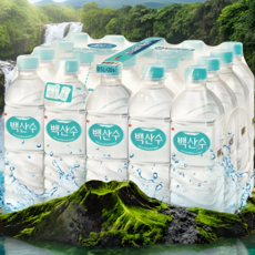 청정 벡산수 500ml 무라벨, 60개