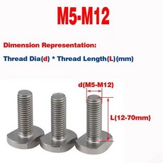 304 스테인레스 스틸 T 볼트 펀치 그루브 볼트 T형 다이 프레스 플레이트 나사 M5M6M8M10M12, 1개