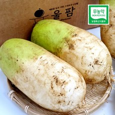 국내산 울팜 제주 친환경 월동흙무 월동무 흙무, 1개, 친환경 흙무 5kg