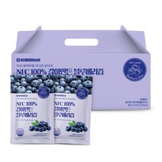 [참앤들]국내산 NFC 착즙100% 갈아만든 블루베리즙 80ml×30포×1박스, 30팩, 80ml