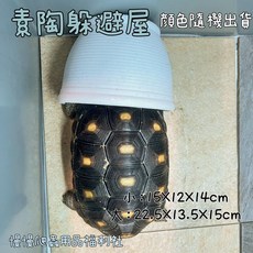 慢慢爬 素陶躲避屋 素陶盆栽 陸龜 爬蟲 躲避洞 蜥蜴 素陶