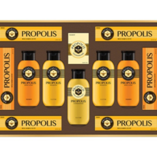 LG생활건강 명절 선물세트 프로폴리스 E스페셜 + 쇼핑백, 3개