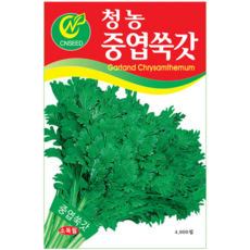 세인화분 중엽쑥갓 4000립 - 쑥갓씨 쑥갓씨앗, 1개