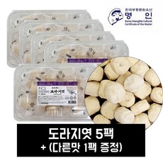 도시락 도라지엿 130g x 5팩 + 1팩(다른맛 랜덤)