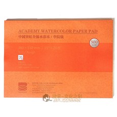 寶虹 學院級全棉水彩紙 380x530mm 粗紋 20張 300gsm, 詳見包裝
