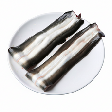 (한가네) 고창 자포니카 민물장어 1개 1kg 손질후 600g 내외, 손질후 1-3미 500g