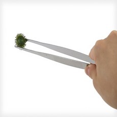 나일 파충류 핀셋 먹이용귀뚜라미