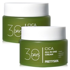 프리티스킨 30 Days 올인원 시카 진정 수분크림, 2개, 100ml