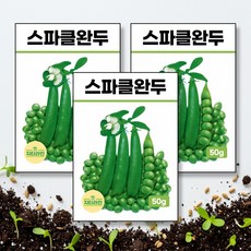스파클완두 씨앗 종자 50g, 3개