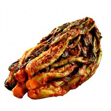 갓고파푸드 돌산갓김치 1kg, 돌산갓김치1kg(-6000원), 1개