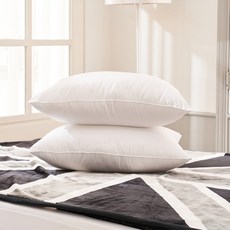 휴비스 프리미엄 베개솜 지퍼형 2개, SBD_휴비스베개솜(50×70)2개, 1개