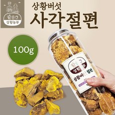 국산 장수 참나무 상황버섯 사각절편 휴대용 100g (농장직송), 1개