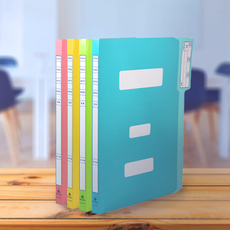 서일산업 정부화일 A4, 혼합색상, 40개