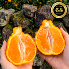 제주 귤로올레 가정용 한라봉, 1박스, 고당도 5kg 이하