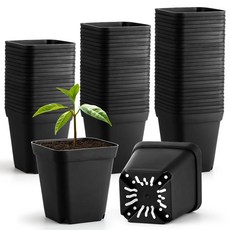 아기방 화분 15.2cm6인치 40개 배수 구멍이 있는 플라스틱 씨앗 시작 냄비 심기 절단을 위한 튼튼한 묘목 화분 투명 173307, 블랙