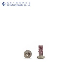 【銳禾】工廠直營 M1.2x2.8 I頭 不鏽鋼 白鐵 十字槽 防鬆 特殊螺絲 IAM012028-S81JN, 1個