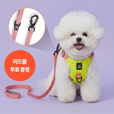 닥터메디펫 강아지 초경량 하네스 리드줄 세트, 1개, 옐로우 1개, 옐로우