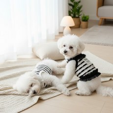 BUNNY PET 강아지 해충방지 자외선차단 하네스옷, 1개, 모노블랙