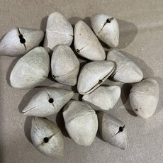 臺灣出貨 印尼果殻風鈴diy黑果材料包自製果殻音手工製作手搖鈴pangjii果殻 0OUT, Chacha 夾竹桃果10個+送麻繩31, 1個