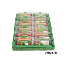 야미즈 사우어 캔디 젤리, 50g, 24개
