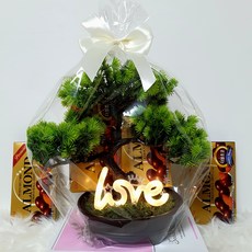 화분마당 발렌타인데이 변함없는사랑 먼지먹는 공기정화 소나무분재 조화 스칸디아모스 loveLED 아몬드초콜릿, 1개, 470g