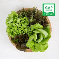 부여 산지직송 무농약 유로피안 채소(3~5종 랜덤구성) / 쌈채소 샐러드, 1개, 1kg