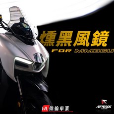 APEXX MMBCU 燻黑風鏡 小風鏡 衝刺風鏡 法規 歐規 風鏡 直上安裝, 1個, 燻黑