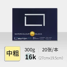 LEYTON 수채화 용지 300g 실란트 책 두꺼운 그림 면 펄프 특수, 02 16K Cold Pressed