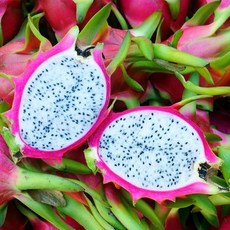 특별한선물 당일발송 프리미엄 용과 실속구성 1kg 내외 (2과) 2.5kg 내외 (5과) 5kg 내외 (10과) 이색선물 열대과일 용과, 10과(5kg내외), 1개