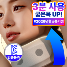 필모어 5세대 쿠션형 목보호대 밴드 통풍형, 1개