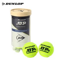 ATP 챔피언쉽 캔볼 테니스공 시합구 1캔 2입, 2개