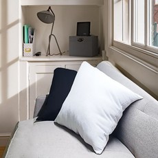 푹신푹신쿠션ccss푸른플러스, 아이보리_40X40