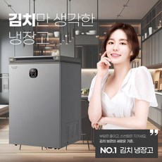 담채 미니 김치냉장고 뚜껑형 1등급 소형 원룸 가정용 술장고 미니 냉장고 냉동고, 150L, 메탈, BC/BD DSNE