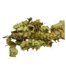 薆田 快樂鼠尾草乾燥花草 純露/手工皂/浸泡油材料, 1個, 50g, 快樂鼠尾草
