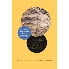 (영문도서) Analytical Psychology in Exile: The Correspondence of C. G. Jung and Erich Neumann Paperback, Princeton University Press, English, 9780691270968