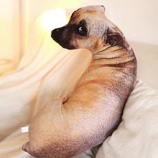허니잼 눈치보는 리얼 강아지인형 쿠션 베개 쓸데없는 웃긴 선물 동물 봉제인형 50cm, 1개