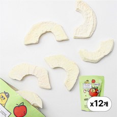 [국내산 좋은 원물] 비프룻 사르르 동결건조과일 사과, 12개, 15g