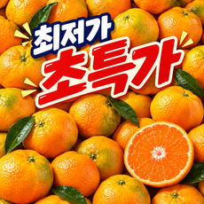[마지막초특가할인중] 새콤달콤 12brix 초고당도 제주감귤, 1박스, 10kg