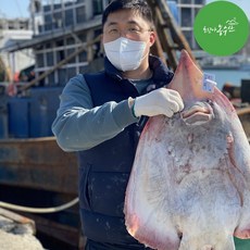 흑산도 홍어 삼합 회 국산 목포 맛집 삭힌 안삭힌홍어 산지직송 (사은품 홍어애 홍어묵 홍어살 랜덤증정), 1개, 국산 참홍어 250g (숙성도 약)