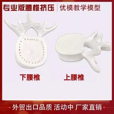 디스크 탈출증 관절 디스플레이 진열용 추간판 인체 모형, 요추 2개 화이트 프로 모델