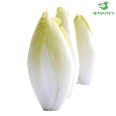 야채이야기 엔다이브 앤다이브 1통, 120g, 1개