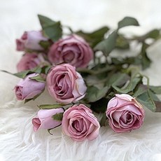 드라이 로즈 조화 5color 퍼플 장식 소품q_d6+7Jyu