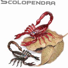 무선조종 전갈 장난감 로보트장난감